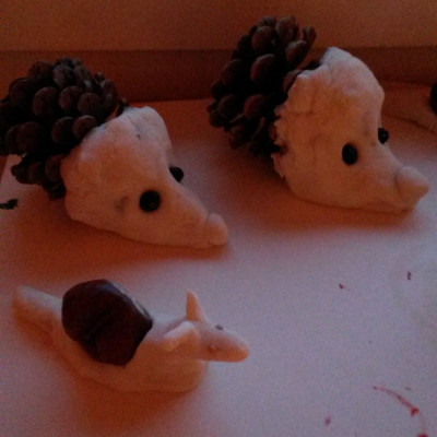 Projekt Igel
